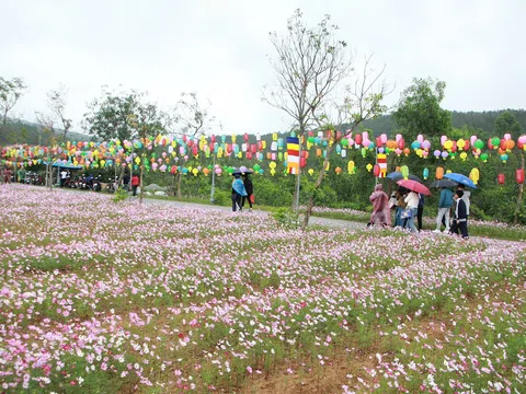 Những ngày đầu xuân Bính Ngọ, hơn 5000 du khách tham quan chùa Hương Tích