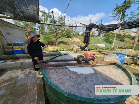 Sứa ép Mai Dung khẳng định chất lượng OCOP