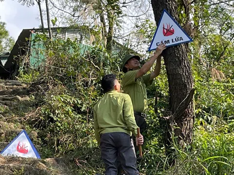 Hà Tĩnh chủ động bảo vệ rừng trong mùa nắng nóng