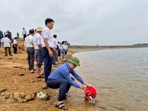Hà Tĩnh: Thả 4 vạn cá giống tái tạo, phát triển nguồn lợi thủy sản