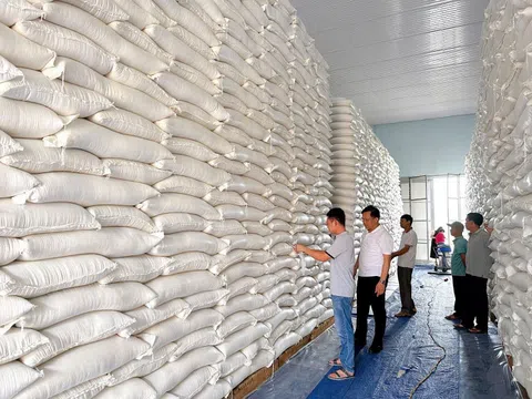 Hà Tĩnh phân bổ gần 1.200 tấn gạo dự trữ quốc gia hỗ trợ người dân trong dịp Tết