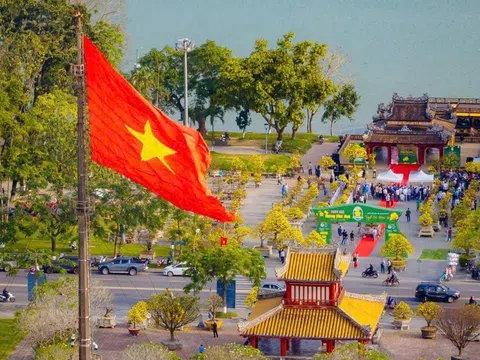 Thành phố Huế:  Gần 500 tuyệt tác Hoàng mai khoe sắc tại Ngày hội Hoàng mai thành phố Huế lần thứ IV