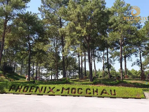 Phoenix Mộc Châu – Tổ hợp nghỉ dưỡng xanh giữa “Đà Lạt thu nhỏ” của Tây Bắc