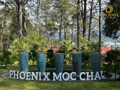 Phoenix Mộc Châu Resort – Chạm vào bình yên giữa rừng thông Bản Áng