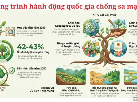 [Infographic] Chương trình hành động quốc gia chống sa mạc hóa: Giữ đất – giữ rừng – giữ tương lai bền vững