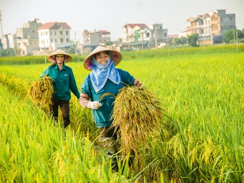 Hoàn thiện quy định xây dựng nông thôn mới giai đoạn 2026-2030