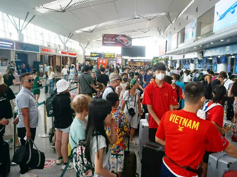 Đà Nẵng: Chủ động tăng cường phòng, chống dịch bệnh do virus Nipah