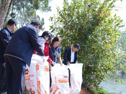 Quảng Ngãi: Thả 5.000 cá giống làm giàu “trái tim” Măng Đen