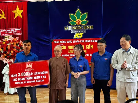 Quảng Ngãi: 3.000 cây giống sâm Ngọc Linh tiếp sức thanh niên vùng cao lập nghiệp