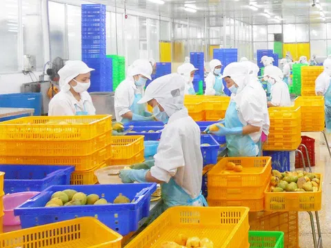 Phú Thịnh Juice – Nước ép trái cây tiêu chuẩn châu Âu chinh phục thị trường nội địa