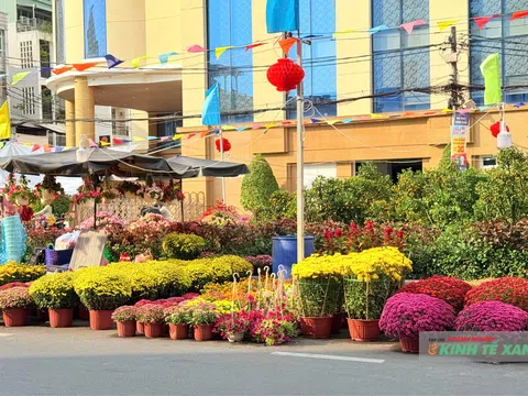 Sắc xuân lan tỏa khắp phố phường Cần Thơ