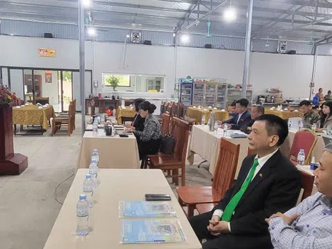 VFARM tổ chức tập huấn sản xuất hữu cơ và marketing nông sản