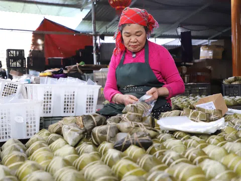 Bánh chưng gù vùng cao: Từ nghề truyền thống đến mô hình HTX hiệu quả