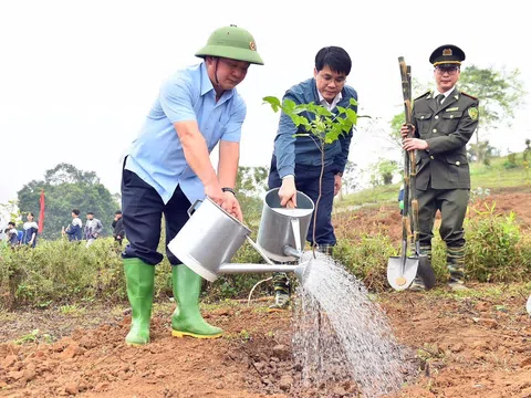 Tuyên Quang phát động “Tết trồng cây đời đời nhớ ơn Bác Hồ”: Khơi dậy động lực tăng trưởng xanh năm 2026
