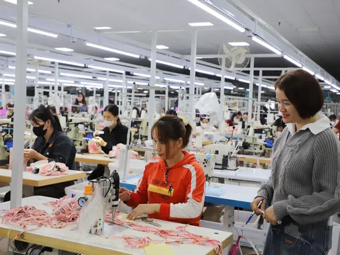 Ghi nhận khí thế mới từ các nhà máy những ngày đầu xuân ở Tuyên Quang