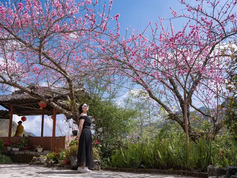 Mùa xuân rực rỡ nơi biên giới Cao Mã Pờ