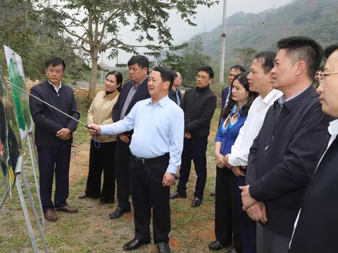 Cao tốc Tuyên Quang – Hà Giang giai đoạn 2: Mở không gian phát triển kinh tế xanh vùng núi