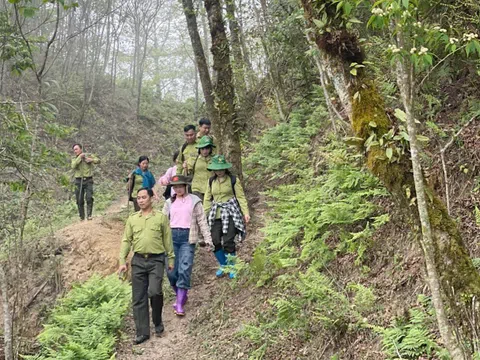 Khi “lá chắn xanh” bước vào kỷ nguyên số