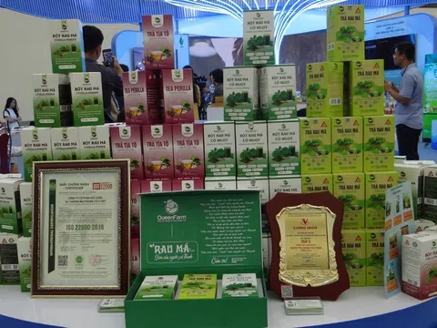 Rau má Qeen Farm - Thức uống tự nhiên từ đồng quê Việt Nam