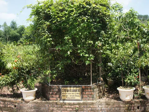 Xanh hoá nền kinh tế không phải là khẩu hiệu mà là nhu cầu của đời sống