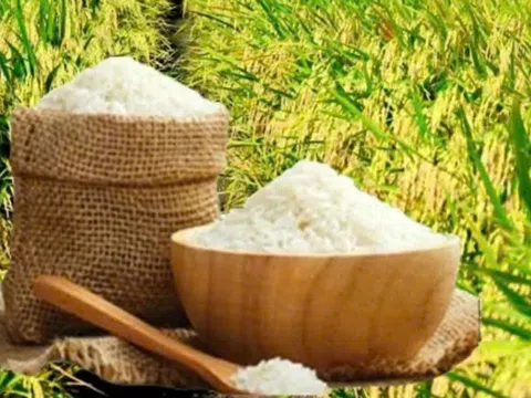 Gạo Ngọc Phố - Đặc sản OCOP xứ Thanh: phong phú thêm hạt gạo Việt