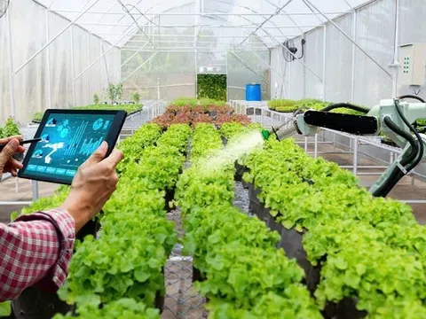 Phát triển một nền nông nghiệp hiện đại, bền vững - Con đường tất yếu cho tương lai