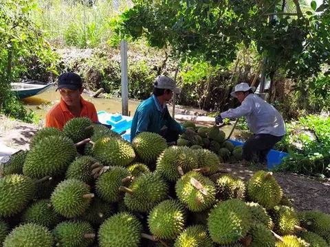 Xuất khẩu nông sản sang Trung Quốc năm 2025 và dự báo tương lai