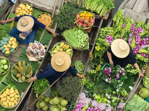 Mùa xuân - mùa gọi những mùa xanh