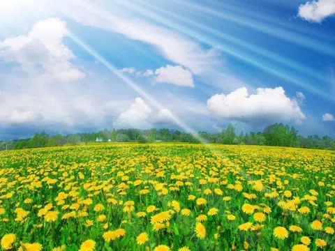 Xuân Bính Ngọ 2026 - Niềm tin vào sức vươn lên mãnh liệt của dân tộc