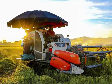 Khát vọng chuyển mình với một nền nông nghiệp hiện đại