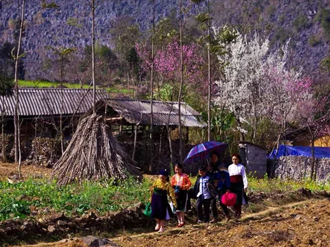 Ngày xuân tìm hiểu tết của người Mông