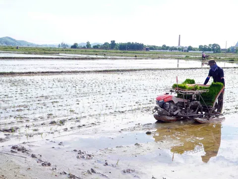 Hết tết bắt tay vào vụ xuân với khí thế mới