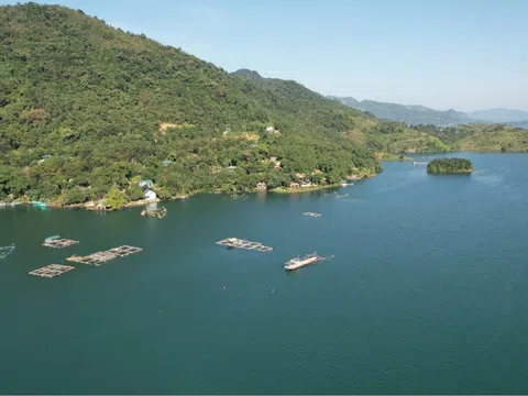 Lồng cá giữa sóng nước Hồ Hòa Bình – Đánh thức tiềm năng thủy sản xanh