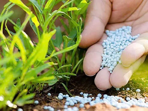 Quản lý vật tư nông nghiệp: Hướng tới nền nông nghiệp sinh thái và trách nhiệm