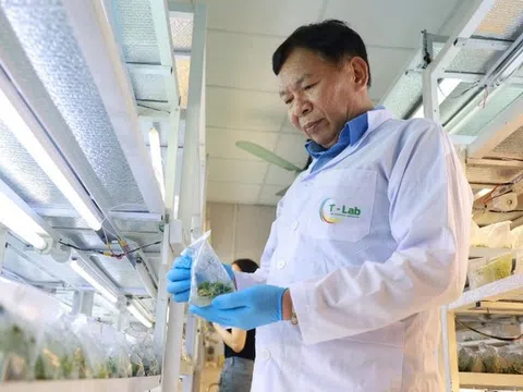 GS, TS Phạm Văn Hội - Nhà khoa học gắn bó với nông nghiệp Việt Nam