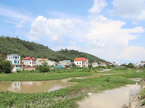 Bắc Ninh rà soát các dự án đầu tư đang triển khai ngoài đê, các bãi sông