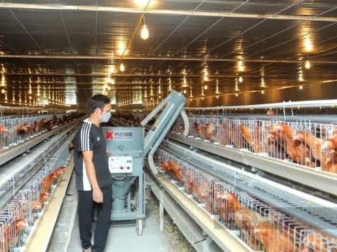 Bắc Ninh: Kinh tế trang trại thu bình quân đạt 2,8 tỷ đồng mỗi năm