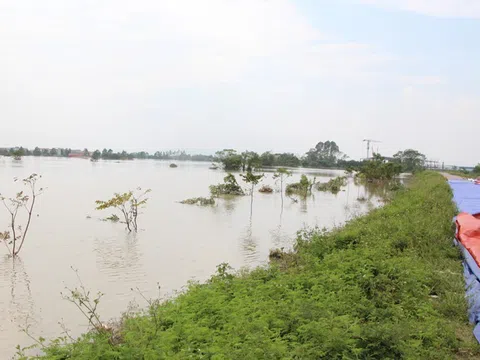 Ngăn sạt lở lan rộng, Bắc Ninh phê duyệt gấp dự án tại hai tuyến sông trọng yếu