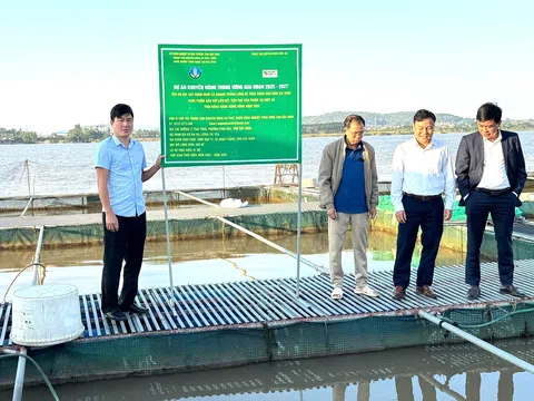 Những mô hình “đẻ ra giá trị” trên các vùng sản xuất ở Bắc Ninh