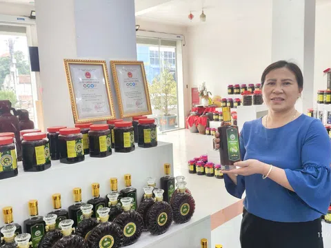 Từ giường bệnh đến vườn dược liệu: Hành trình khởi nghiệp của người phụ nữ Bắc Ninh