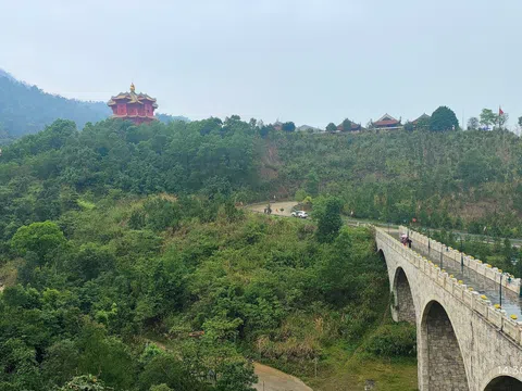 Bắc Ninh phân bổ kinh phí chăm sóc rừng phòng hộ, đặc dụng đợt 1 năm 2026