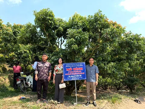 Từ vượt khó sang nâng giá trị: Bước chuyển mình của ngành trồng trọt ở Bắc Ninh