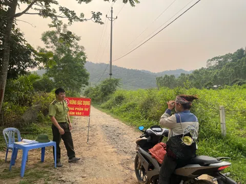 Bắc Ninh: Siết chặt “cửa rừng” Tây Yên Tử trước nguy cơ cháy rừng mùa khô