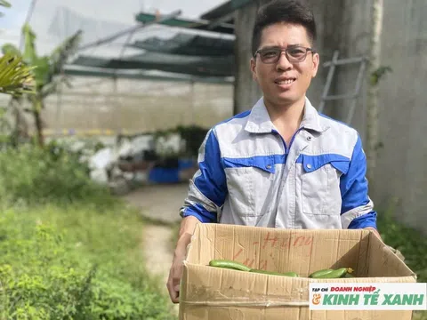 Rời phố về quê, kỹ sư trẻ khởi nghiệp với trang trại rau sạch