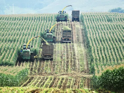 Nghệ An ưu tiên thu hút những dự án tăng trưởng xanh và chuyển đổi số trong năm 2026