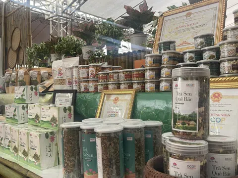 Đánh giá, phân hạng sản phẩm OCOP - Khẳng định thương hiệu, nâng tầm giá trị sản phẩm