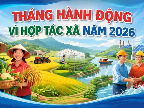 Thành phố Huế hưởng ứng Tháng hành động vì Hợp tác xã năm 2026