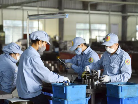 Chuẩn hóa hợp đồng lao động điện tử: Từ 1/7, mỗi hợp đồng có một mã định danh riêng