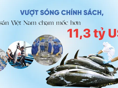 [eMagazine] Vượt sóng chính sách, thủy sản Việt Nam chạm mốc hơn 11,3 tỷ USD