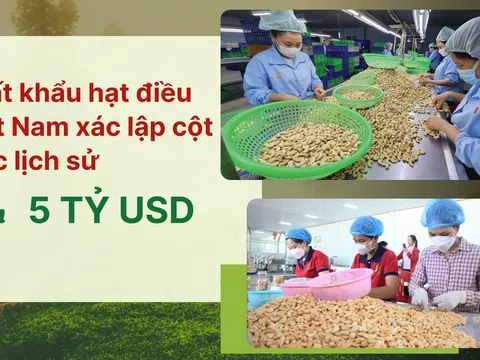 [eMagazine] Xuất khẩu hạt điều Việt Nam xác lập cột mốc lịch sử trên 5 tỷ USD